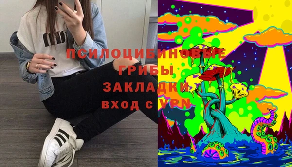 стаф Семикаракорск