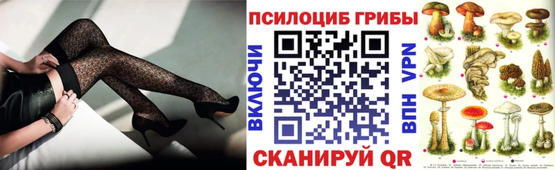 купить закладку  MEGA   Галлюциногенные грибы Magic Shrooms  Сенгилей 
