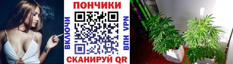 Бошки марихуана индика  хочу   Сенгилей 